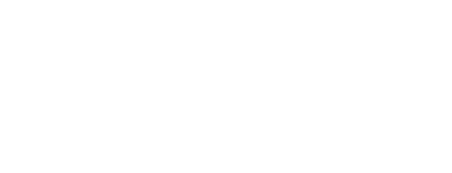 Metis Analytica